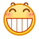 表情[ciya]-一只猫
